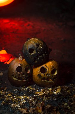 autumn holiday Halloween 2025 scary orange pumpkins under heavy cold autumn October rain in blood red light in the dark