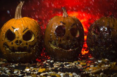 autumn holiday Halloween 2025 scary orange pumpkins under heavy cold autumn October rain in blood red light in the dark