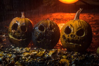 autumn holiday Halloween 2025 scary orange pumpkins under heavy cold autumn October rain in blood red light in the dark