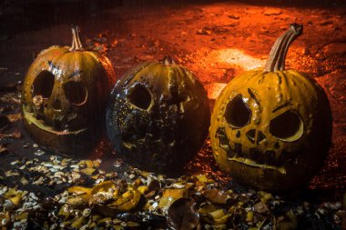 autumn holiday Halloween 2025 scary orange pumpkins under heavy cold autumn October rain in blood red light in the dark
