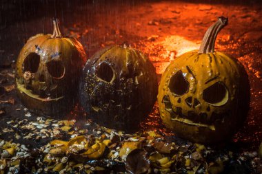 autumn holiday Halloween 2025 scary orange pumpkins under heavy cold autumn October rain in blood red light in the dark