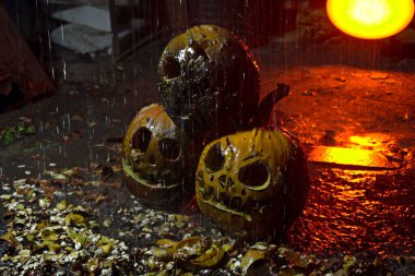 autumn holiday Halloween 2025 scary orange pumpkins under heavy cold autumn October rain in blood red light in the dark