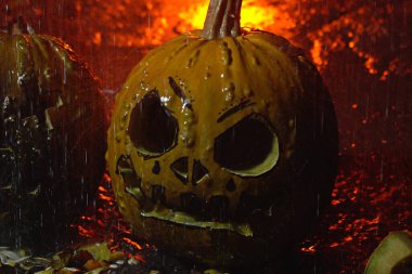 autumn holiday Halloween 2025 scary orange pumpkins under heavy cold autumn October rain in blood red light in the dark