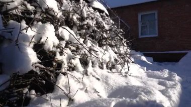 Kışın güneşli bir havada, karlı bir bahçede kar temizliği.