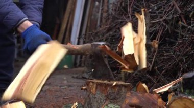 Evi ısıtmak için odunları kesmeye hazırlanıyorlar.