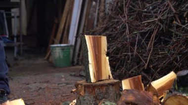 preparing for winter chopping stumps for firewood to heat the house