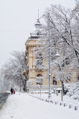 Bucharest, Romanya - 17 Ocak: Calea Victoriei Janua sokakta