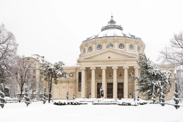 Bucharest, Romanya - 17 Ocak: Üniversite meydanda 17 Ocak