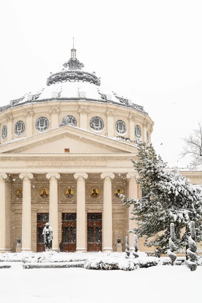 Bucharest, Romania - January 17: University Square on January 17 — Stock Photo, Image