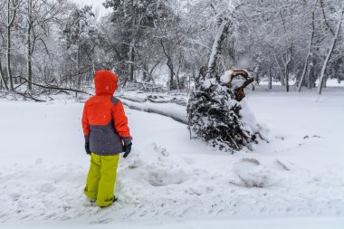Ağacı üzerinde kar şiddetini kırdı. Çocuk görünümlü ov