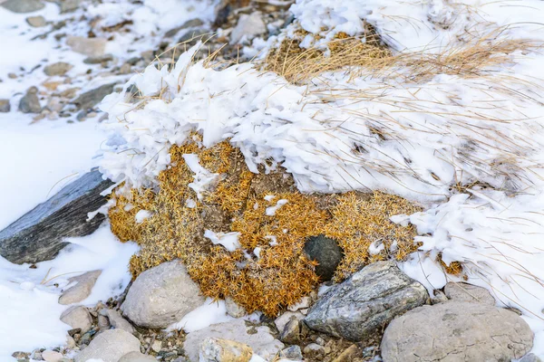 Nieve de invierno y piedras textura. Fondo enmarcado con piedras pa — Foto de Stock