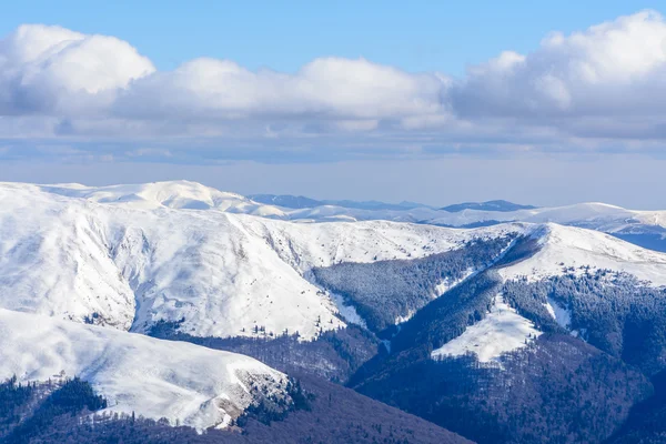 Zimowy krajobraz nad Karpat. Panorama z mou śnieg — Zdjęcie stockowe