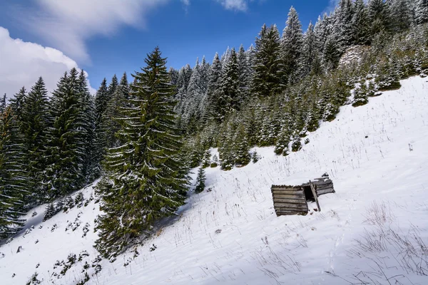 Beautiful winter landscape with snow covered trees. Landscape of — Stock Photo, Image