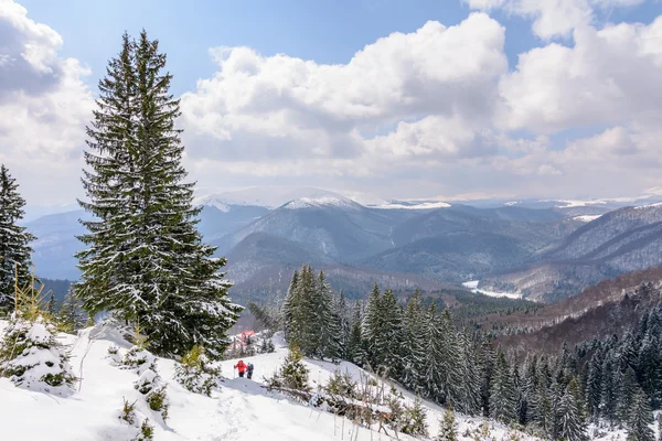 Panoramiczny widok z dwóch narciarzy i pokryte drzewami. Pejzaż zimowy — Zdjęcie stockowe