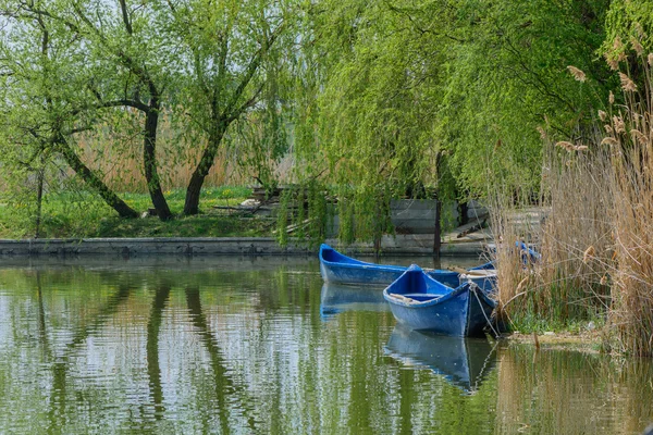 Image with willows and blue boats over lake water. Weeping willo — Stock Photo, Image