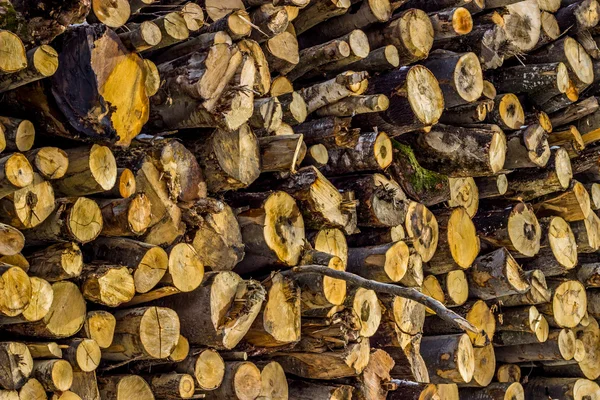 Stack of wood for Valentine — Stock Photo, Image