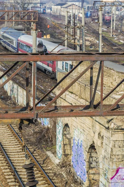 Rail ways and trains — Stock Photo, Image