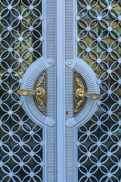 Détail de la grande porte principale décorative d'un bâtiment historique — Photo