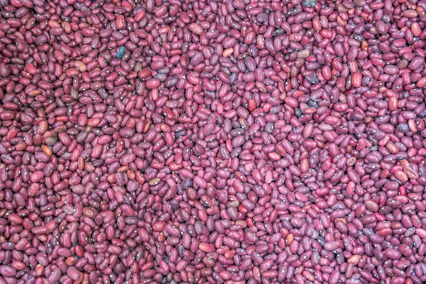 Red and yellow beans texture background