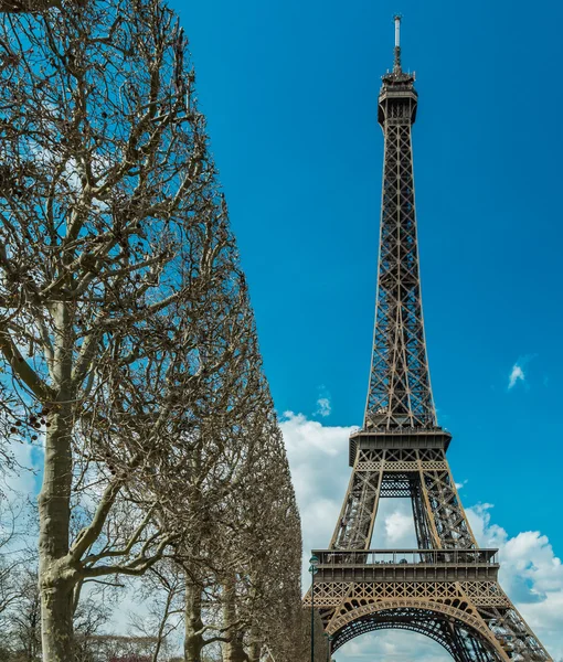 Árvores retas aparadas perto da Torre Eiffel em Paris — Fotografia de Stock