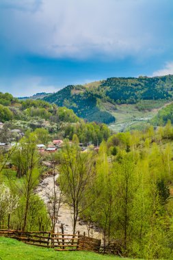 Doğanın ortasında tepe izole yazlık