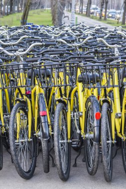 Plenty of yellow bikes parked near a bicycle rental station in a park in Bucharest