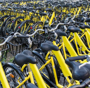 Plenty of yellow bikes parked near a bicycle rental station in a park in Buchares