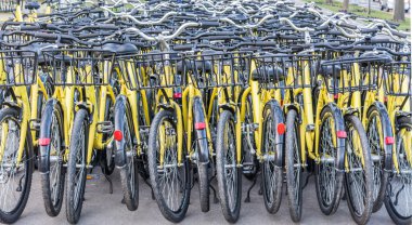 Plenty of yellow bikes parked near a bicycle rental station in a park in Bucharest