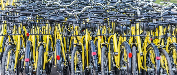 Un montón de bicicletas amarillas aparcadas cerca de una estación de alquiler de bicicletas en un parque en Bucarest — Foto de Stock