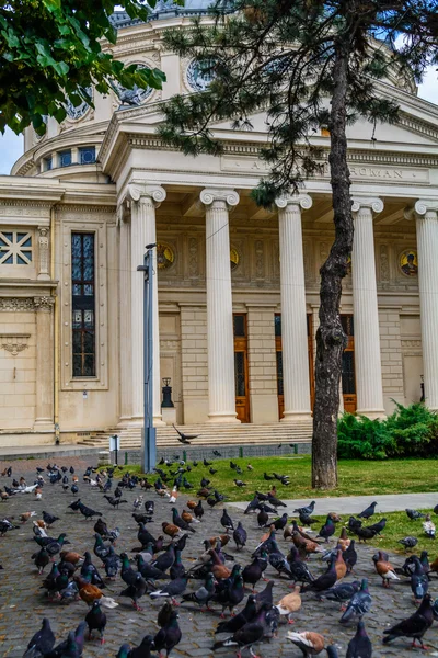 Ateneo rumano es una sala de conciertos del siglo XIX en el centro de Bucarest, Rumania . — Foto de Stock