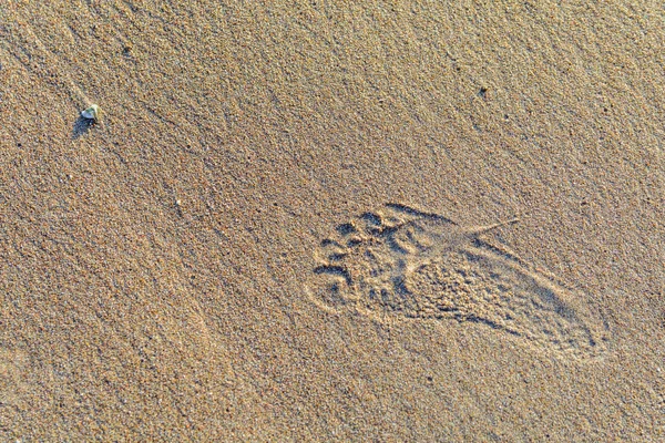 Footprints in the soft and golden sand — Stock Photo, Image