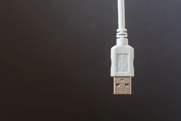 Cabo de conexão USB foi colocado em branco sobre um fundo cinza — Fotografia de Stock