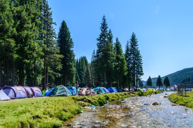 PADINA FEST, ROMANIA - AUGUST 2, 2015: Hikers camp near forest at Padina in Romania on August 2, 2015