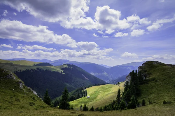 Lanskap dengan bebatuan dari Pegunungan Bucegi, bagian dari Carpathians Selatan di Rumania — Stok Foto