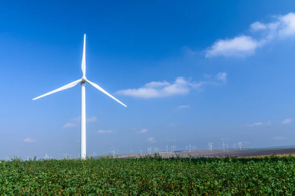 Turbina eolica sul prato sullo sfondo del cielo — Foto Stock