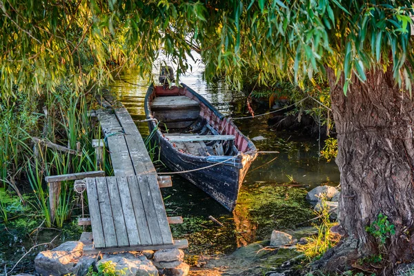 Vecchia barca sull'acqua nel lago tra le canne. Vista luminosa e tranquilla con barca in legno sulla costa in estate — Foto Stock