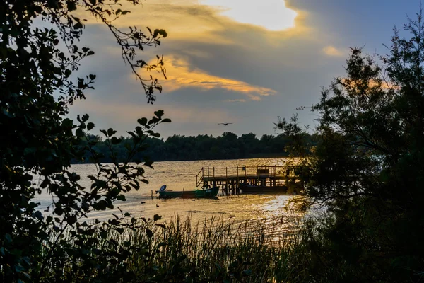 Old boat near the shore with a green bush. Horizontal view of an — Stock Photo, Image