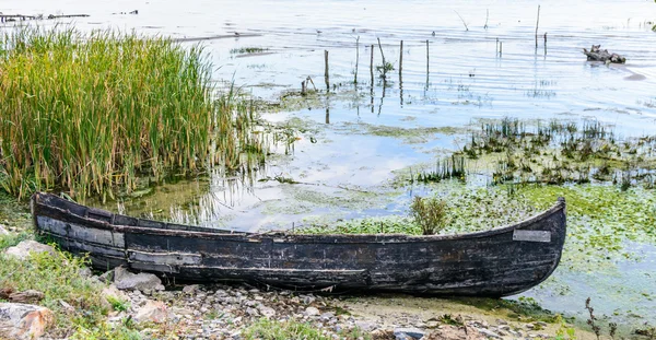 Barco viejo cerca de la orilla con un arbusto verde. Vista horizontal de una — Foto de Stock