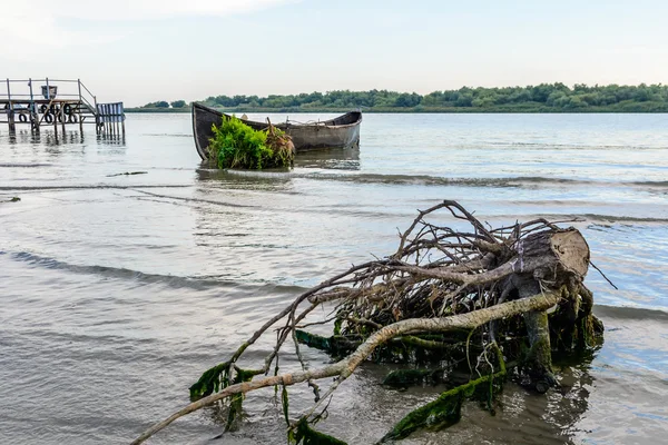 Yeşil bush ile kıyıya yakın eski bir tekne. Yatay görünümünü bir — Stok fotoğraf