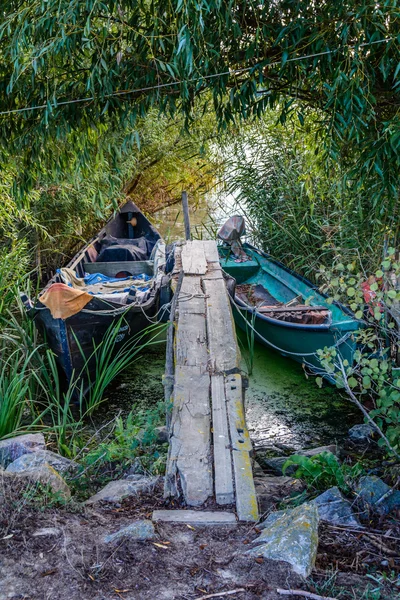 Two boats near the shore in a summer evening. Vertical view of t — Stock Photo, Image