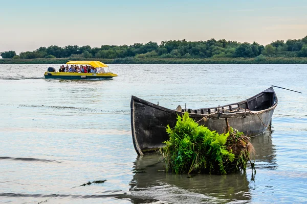 Danube Delta, Romanya - 16 Ekim 2015: Tuna Deltası "Delta Du — Stok fotoğraf