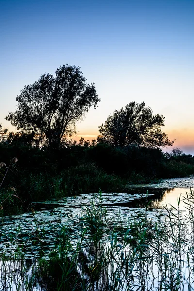 Pôr do sol sobre bosques perto de um rio. Visão horizontal do sol sett — Fotografia de Stock