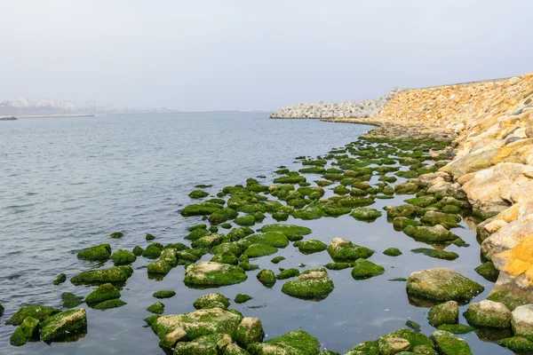 Rocas en el agua a través de pontón con la ciudad detrás. Rocas con verde —  Fotos de Stock