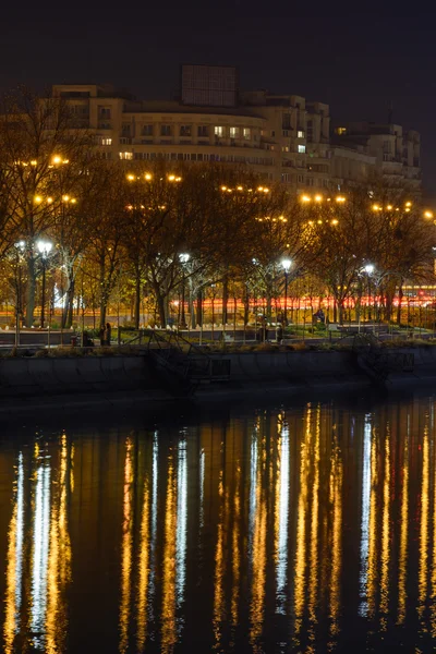 Refleksje drzew i publicznych lampy nad rzekę Dymbowica. Vert — Zdjęcie stockowe