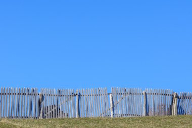 İnek ve açık mavi gökyüzü etrafında rustik ahşap çit. Güzel su
