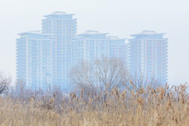 Çayır Kuru ot doku adamlara blokları ve beyaz gökyüzü ile. Kış 