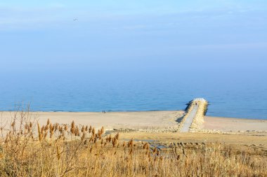 Kuru ot ve karda çıplak ağaca şehir peyzaj üzerinde donmuş. Kış