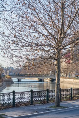Şehirde Nehri üzerinde birkaç yaprak ağacıyla donmuş. Kış cityscape