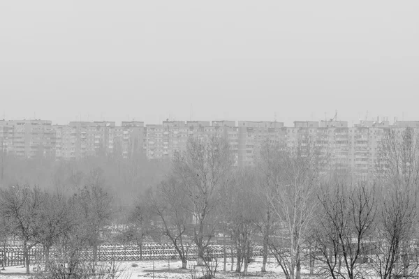 Árvores secas congeladas no inverno e edifícios panorâmicos da cidade. Preto a — Fotografia de Stock