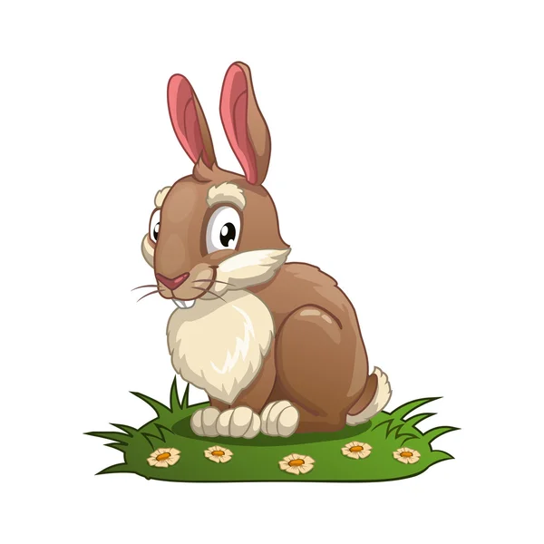 Bunny — Stock Vector